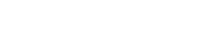 Transplicity-Horizontal-White-Logo 2