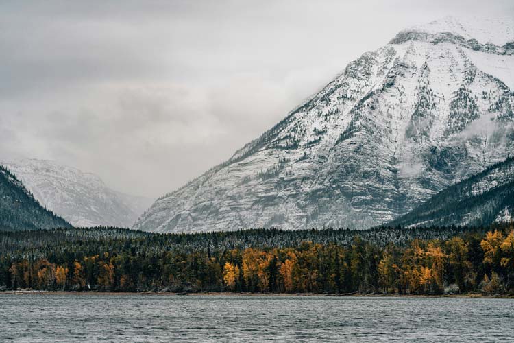 Navigating Montana's Terrain Expertise in Motion