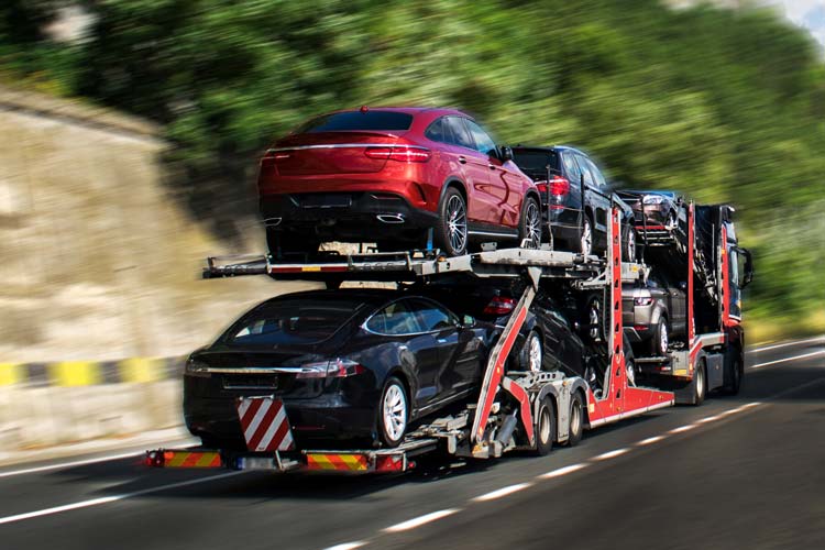 Our Vehicle Transport Options Catering to Every Need