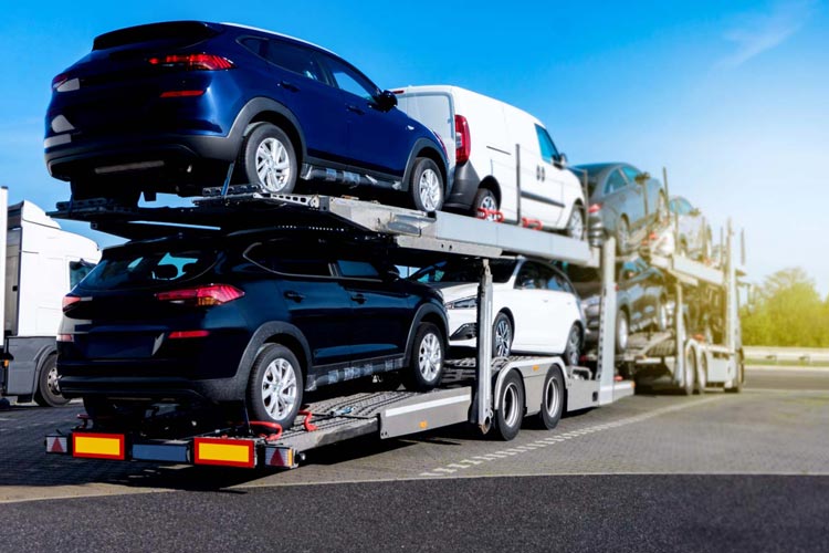 Customized Transportation Services